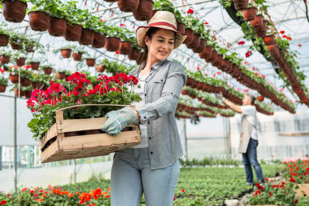 Young Woman with Flower Crate in Nursery
