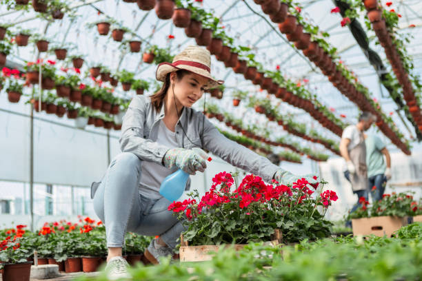 istock Young Woman Tending to Plants 2153408071