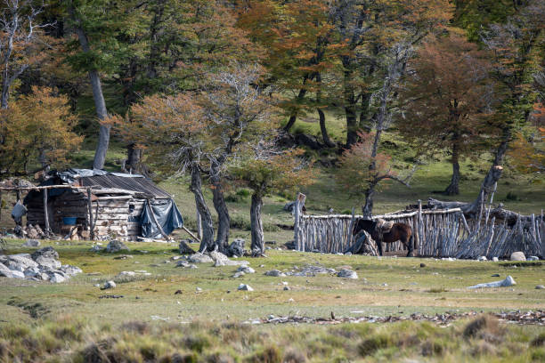 istock Ranch next to corral in the Neuquen mountain range. 2153410185