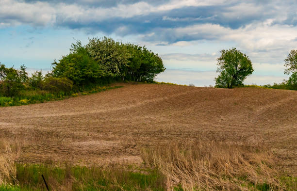 Natural Landscape - Agricultural Field
