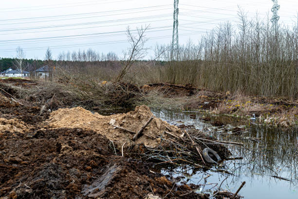 istock Excavated swamps with high groundwater, visible garbage and peat. 2153412213