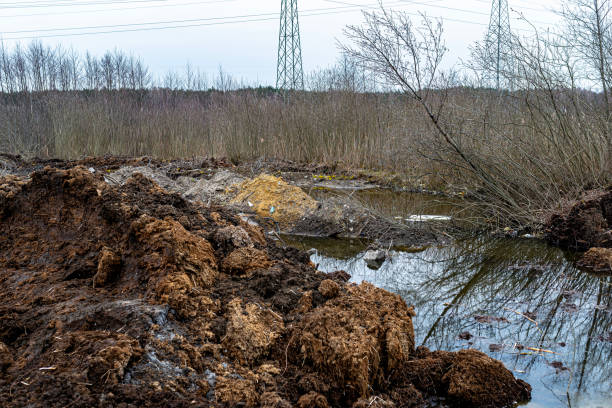 istock Excavated swamps with high groundwater, visible garbage and peat. 2153412240