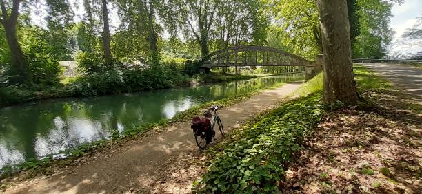 A path with trees and a bike along a green river