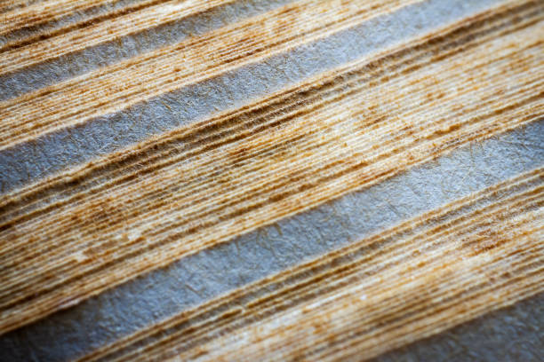 Extreme closeup of an old book from the side. Selective soft focus, shallow depth of field. Bibliophile, bookworm abstract background