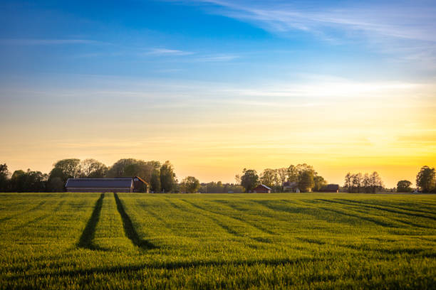 Barn and pasture at sunset.