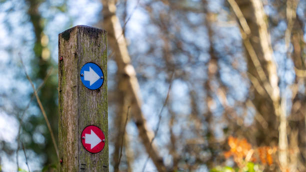 istock Red and Blue arrow way marker sign on a trail 2153434666