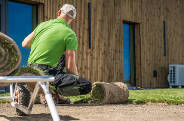 istock Gardener installing new grass turfs in front of a house. 2153437021