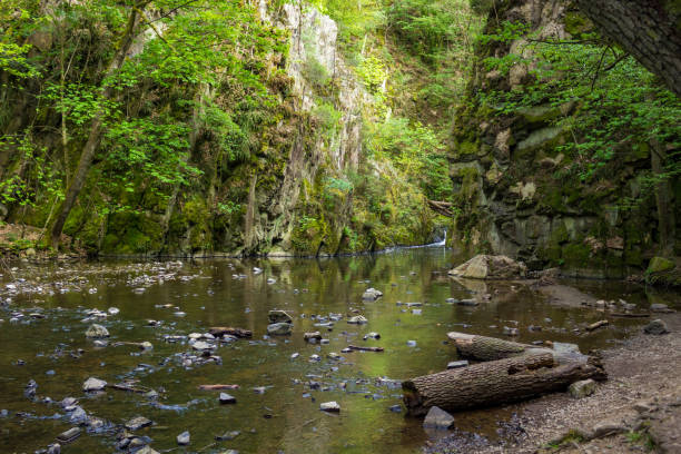 istock panorama of a river and its lush environment 2153437235