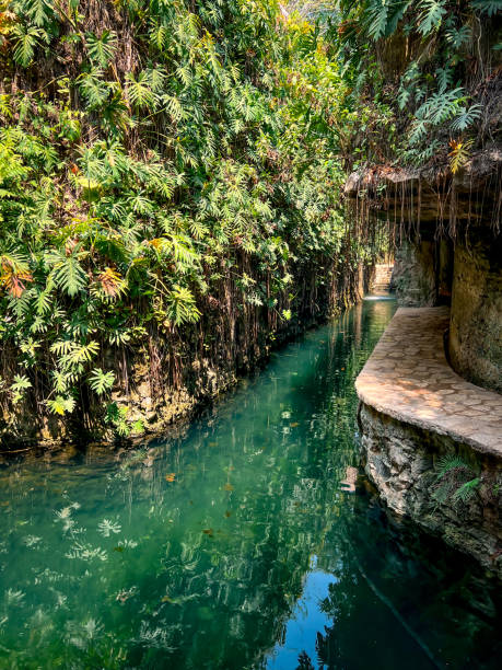 istock Mexican cenote in Yucatan 2153451147