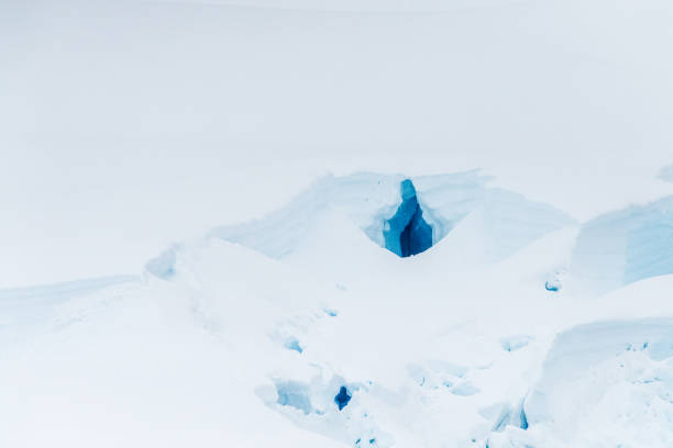 A tranquil Antarctic landscape, near Graham passage along Charlotte Bay, highlighting stark reflections, rugged mountains, and impressive icebergs.