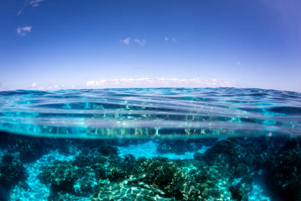 Above below view of an azure tropical reef lagoon under blue sky