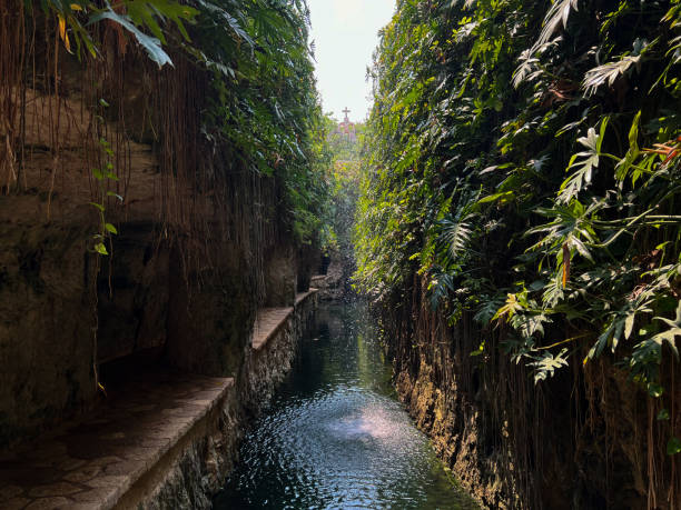 istock cenote in yucatan merida mexico 2153451769