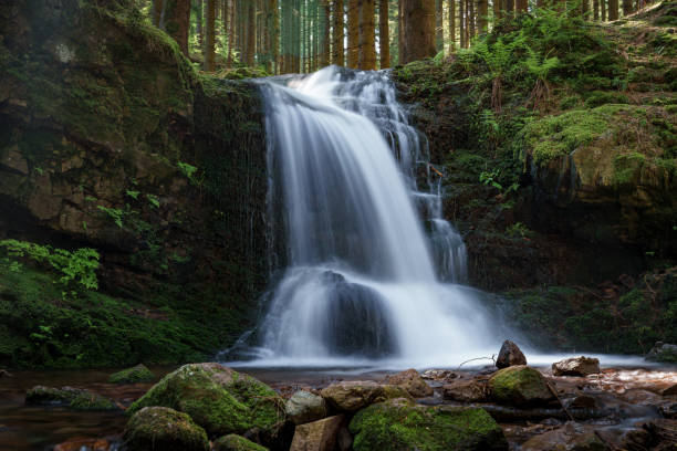 istock A serene waterfall flows through lush vegetation in a forested ecoregion 2153451890
