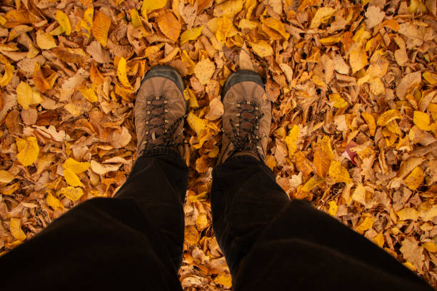 istock Standing in the Autumn Leaves 2153459121