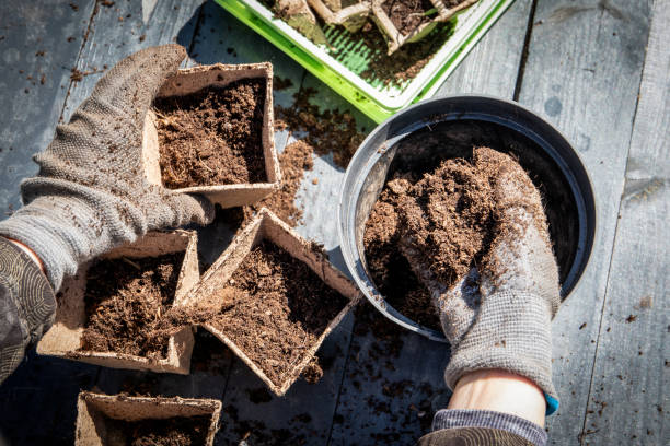 istock Preparing  pots and soil for seedlings, garden work in spring 2153464543