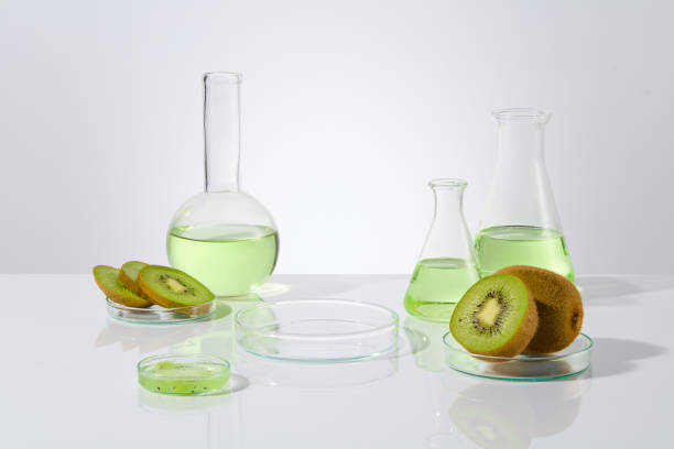 istock Plenty lab glassware containing kiwi and light green essence placed surround a blank petri dish in the center for displaying products extracted from kiwi. Frontal shot, blank space for adding text 2153465532