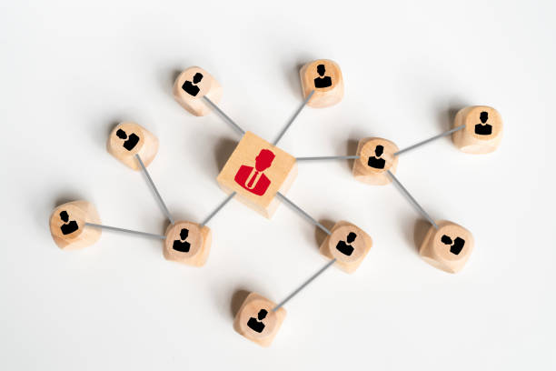 istock HR human resources management concept. Manager icon on wooden block with connection link network. 2153466832