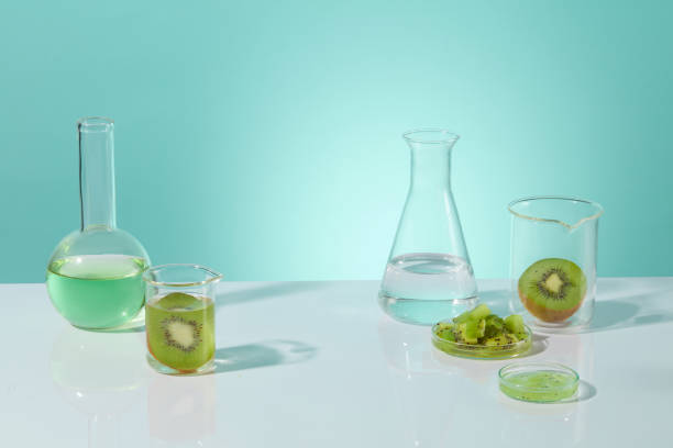 istock White countertop containing a boiling flask with light green liquid, fresh kiwi in beaker and chopped kiwi in petri dish, vacant space in center for displaying. Front view photo, copy space 2153466929