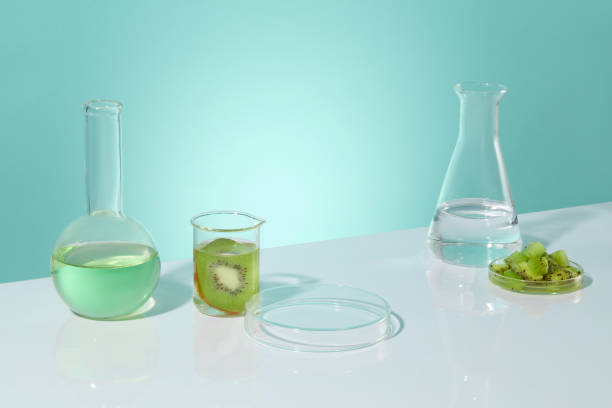 istock Baby blue background with gradient effect against white table contains some experiment utensils with a blank petri dish for showing product and fresh kiwi. Blank space for design with high angle shot 2153466930