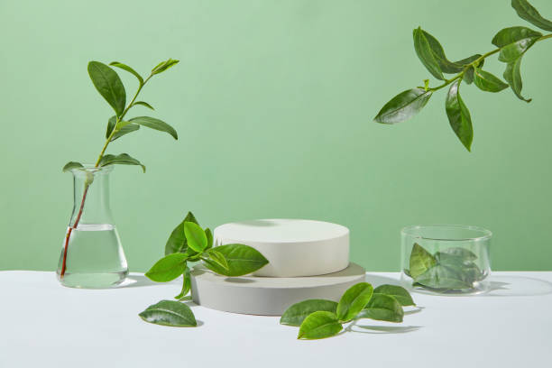 istock Designing template of green tea composition theme, two round blank platforms are placed on top of each other with a few decorative green tea branches, next to some glass items. Blank space for design 2153468667