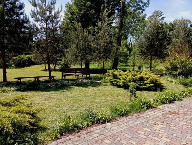 istock A small park with benches and decorative bushes next to paved paths. Park decorative landscape design on a small piece of grass lawn. 2153472697