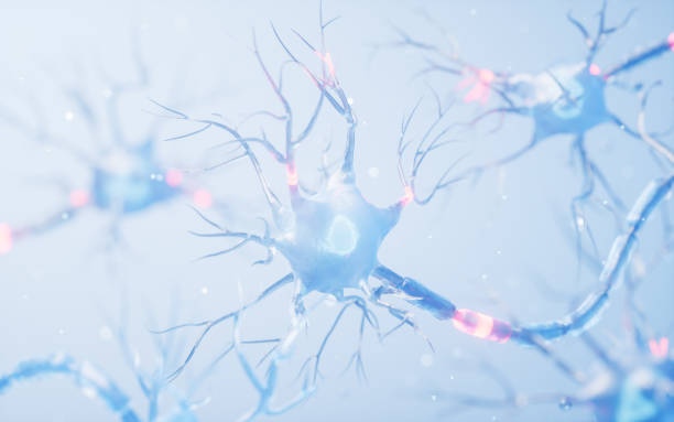 istock Biology nerve cell with biomedicine concept, 3d rendering. 2153475293