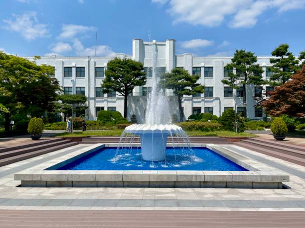istock Summer starts in May Seoul 2153482291