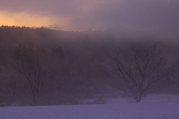 Winter landscape