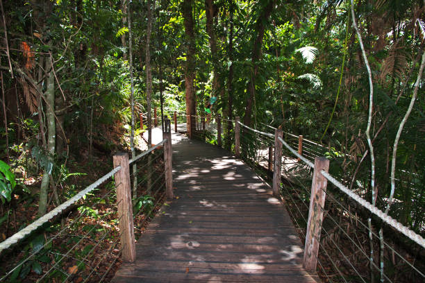 istock Kuranda entertainment complex in the mountains, Cairns, Australia 2153483949