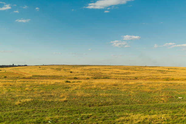 istock Grasslands in the Blue skies 2153484052