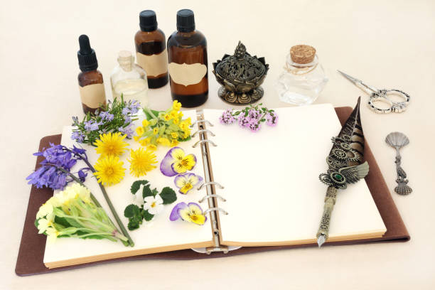 istock Spring Herbs and Flowers for Natural Herbal Remedies 2153486133