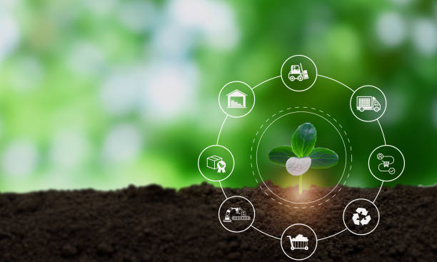 istock Green and sustainable supply chain concept. Integration of environmentally friendly practices into the supply chain process, from sourcing raw materials to delivering products to custom. 2153486172