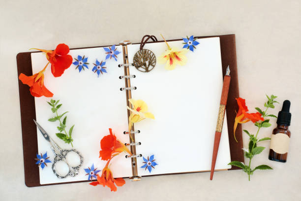 istock Preparing Herbs and Flowers for Cold and Flu Remedy 2153486217