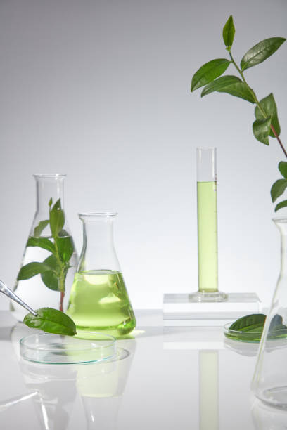 istock Front view photo on white background with several types of laboratory glassware, fresh green tea leaves and green tea essence. Blank space in center for showing organic cosmetic or healthcare product 2153487173