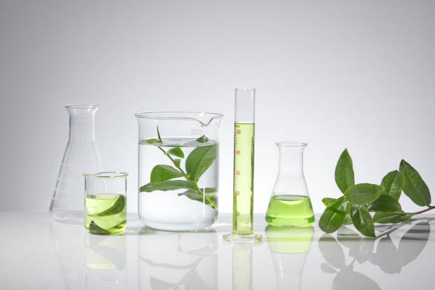 istock Laboratory instruments containing green tea essence and fresh green tea leaves are arranged in a horizontal row on a white table top. Frontal shot photo with blank space for design 2153487230
