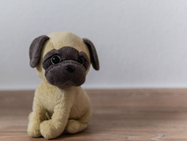 Cute puppy toy shot on white, park and white floor, plush dog toy. High quality photo