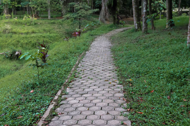 istock A pedestrian path made of gravel which functions as health therapy 2153493587