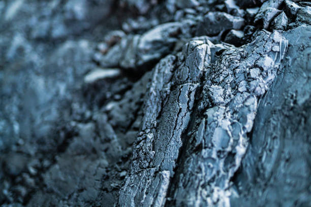 Fire destroyed wood pattern. Burnt wood close up shot.