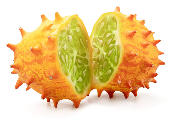 African honeydew melon background