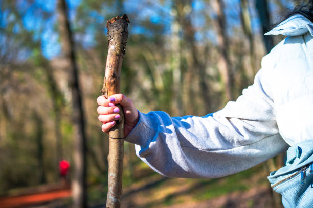 istock Graceful Wanderer: Woman with Rod Stick in the Forest 2153503938