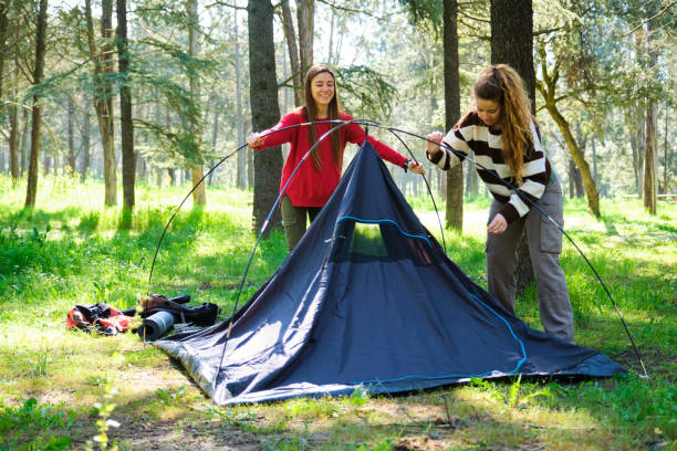 istock Two women are setting up a tent in a forest 2153505060