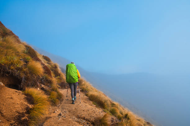 istock Solo female hiker hiking through challenging terrain. 2153506126