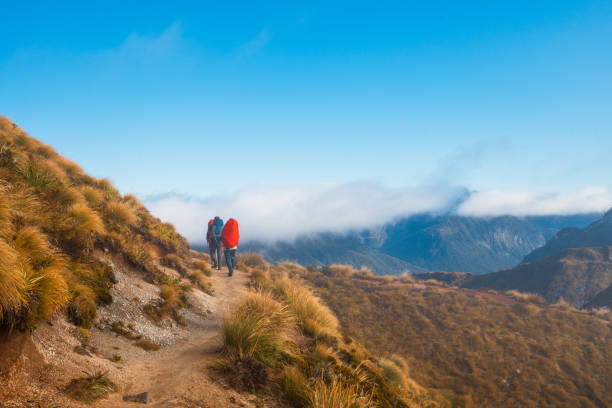 istock A walk in nature walks the soul back home. 2153506139