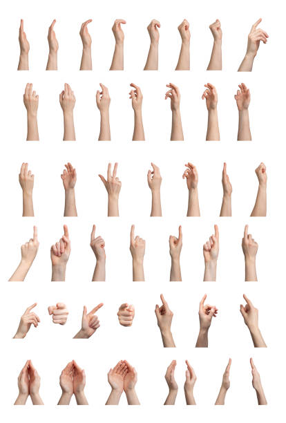 istock Diverse hand gestures, showing different expressions. Signs and symbols, finger movements, pinching 2153510690