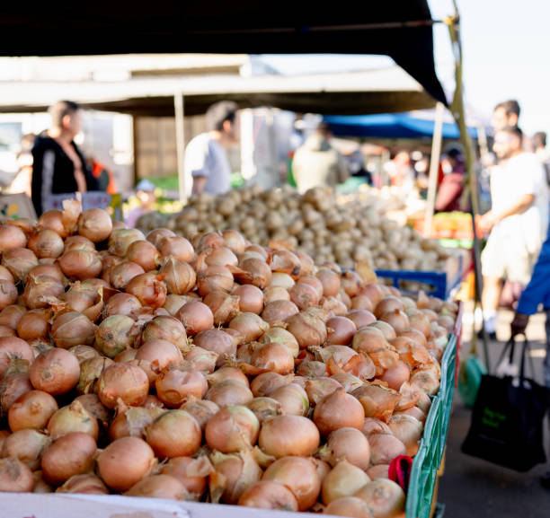 Auckland Avondale Sunday Market Stall with onions piled up