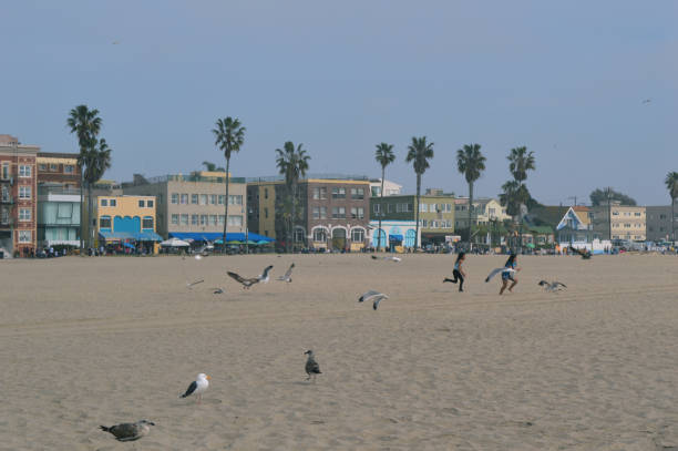 Los Angeles, California - December 29, 2022: Warm Winter Sunlight and Cityscape View at Venice Beach