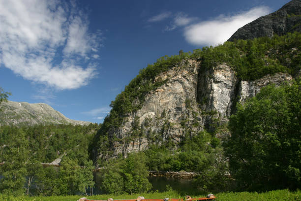 Norwegian Scandinavia nature mountain forest wilderness road