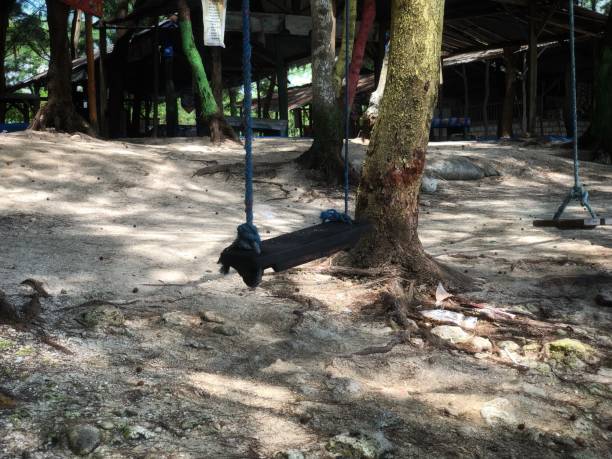 istock photo of a swing on the beach 2153514552
