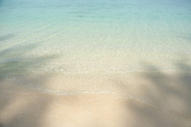 Sea wave and soft sandy with shadow of beach tree.
