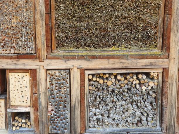 istock Bug hotel close up. Wooden eco materials for insects. 2153519585
